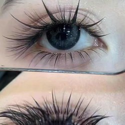 Mi Trung Hoa đuôi dài