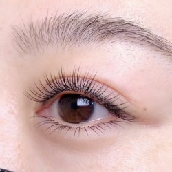 NỐI MI CLASSIC TỰ NHIÊN